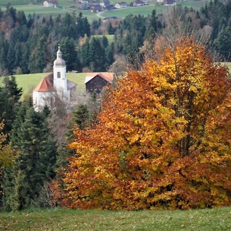 Апартаменти Ferien In Feld 109 Langenegg Екстер'єр фото