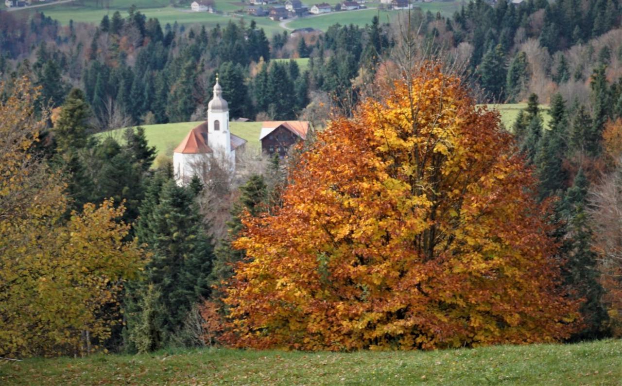 Апартаменти Ferien In Feld 109 Langenegg Екстер'єр фото