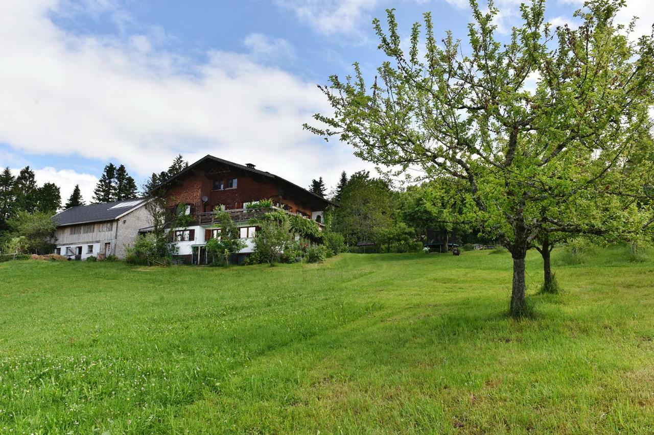 Апартаменти Ferien In Feld 109 Langenegg Екстер'єр фото